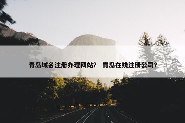 青岛域名注册办理网站？ 青岛在线注册公司？