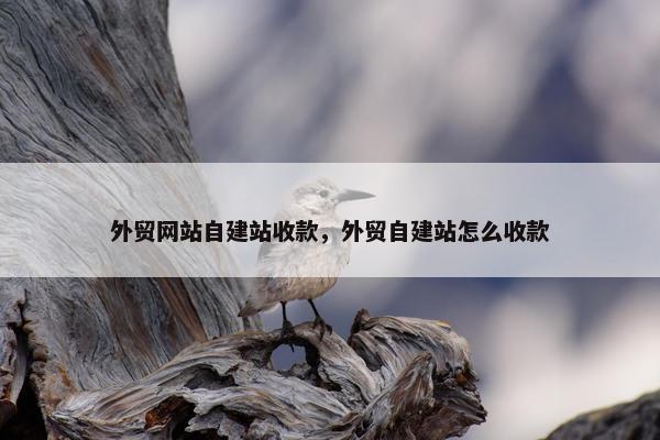 外贸网站自建站收款，外贸自建站怎么收款
