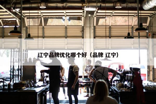 辽宁品牌优化哪个好（品牌 辽宁）