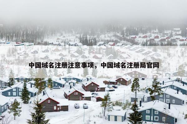 中国域名注册注意事项，中国域名注册局官网