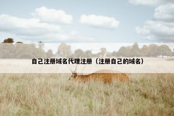 自己注册域名代理注册（注册自己的域名）