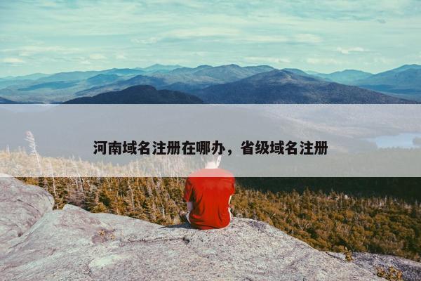 河南域名注册在哪办，省级域名注册