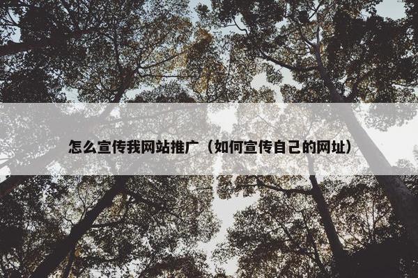 怎么宣传我网站推广（如何宣传自己的网址）