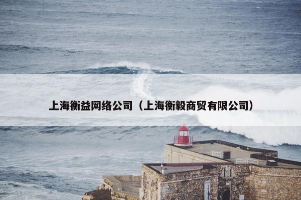 上海衡益网络公司（上海衡毅商贸有限公司）