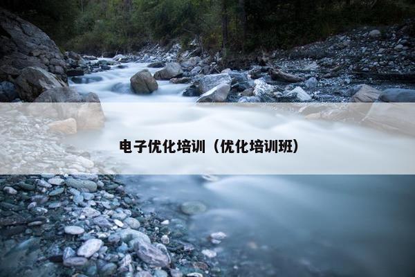 电子优化培训（优化培训班）