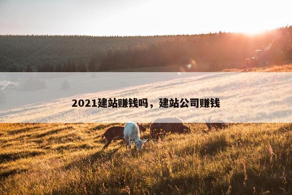 2021建站赚钱吗，建站公司赚钱