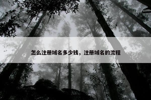 怎么注册域名多少钱，注册域名的流程