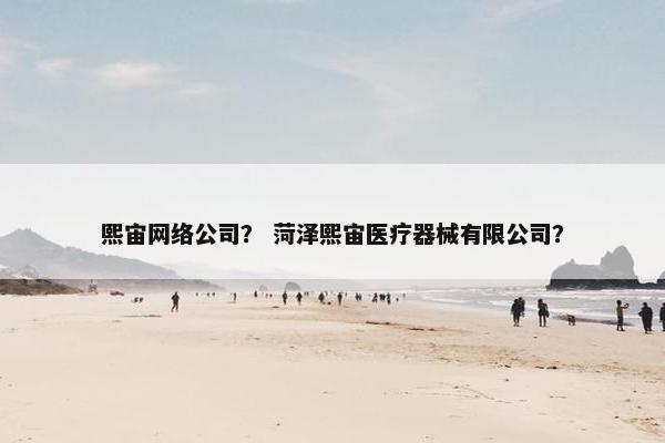 熙宙网络公司？ 菏泽熙宙医疗器械有限公司？
