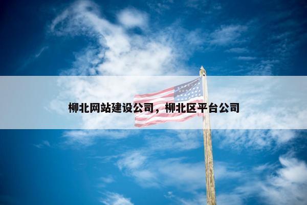 柳北网站建设公司，柳北区平台公司
