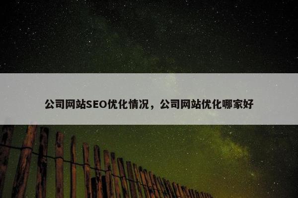 公司网站SEO优化情况，公司网站优化哪家好