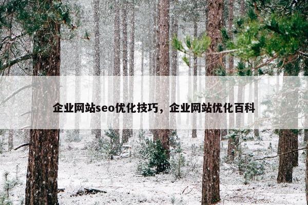 企业网站seo优化技巧，企业网站优化百科