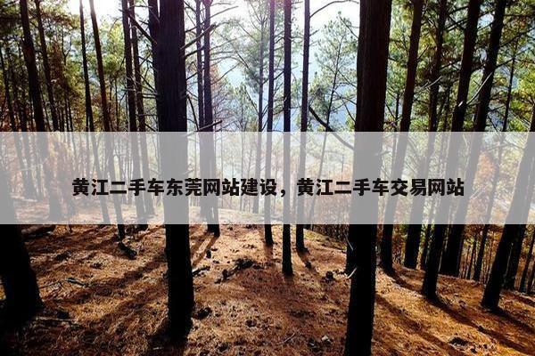 黄江二手车东莞网站建设，黄江二手车交易网站