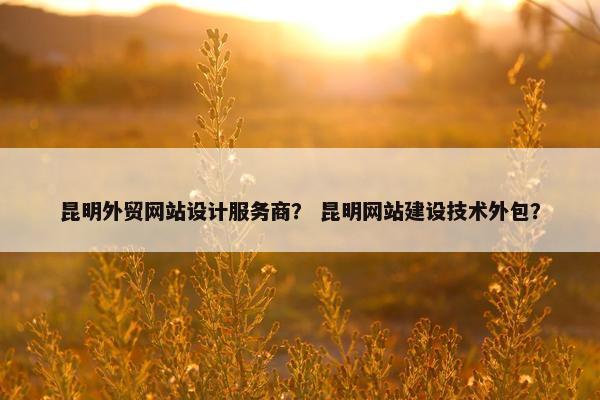 昆明外贸网站设计服务商？ 昆明网站建设技术外包？