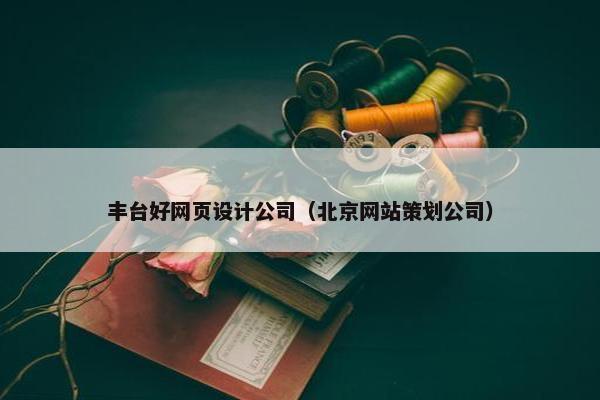 丰台好网页设计公司（北京网站策划公司）