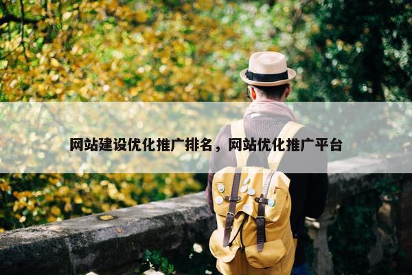 网站建设优化推广排名，网站优化推广平台