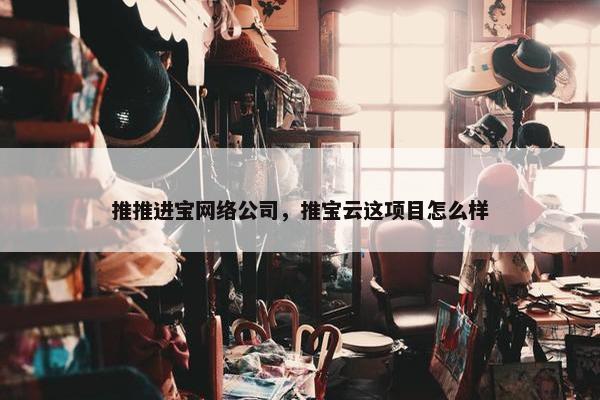 推推进宝网络公司，推宝云这项目怎么样