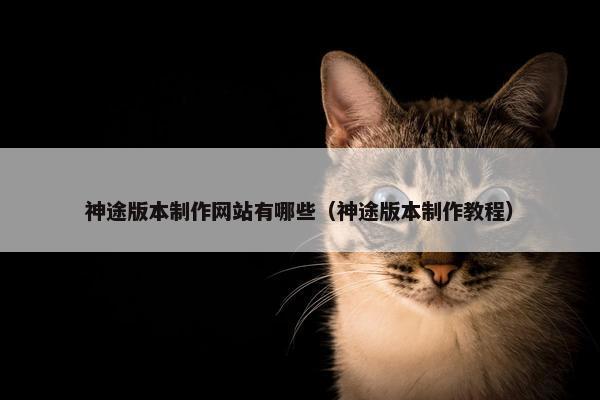 神途版本制作网站有哪些（神途版本制作教程）