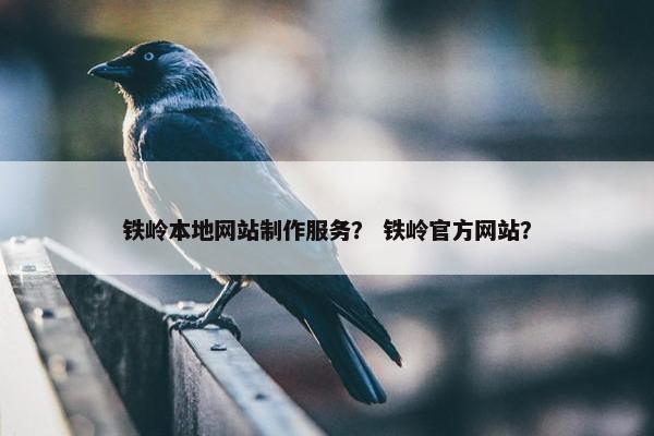 铁岭本地网站制作服务？ 铁岭官方网站？