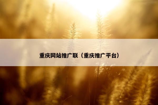 重庆网站推广联（重庆推广平台）