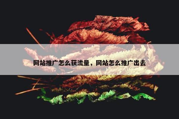 网站推广怎么获流量，网站怎么推广出去