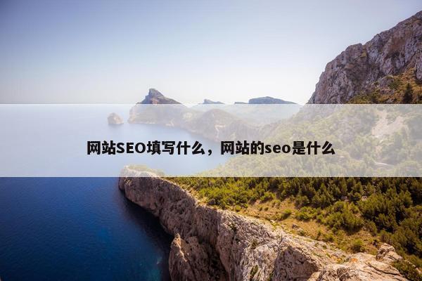 网站SEO填写什么，网站的seo是什么