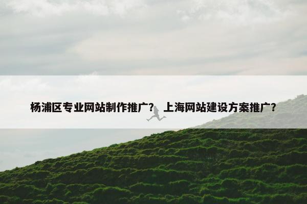 杨浦区专业网站制作推广？ 上海网站建设方案推广？