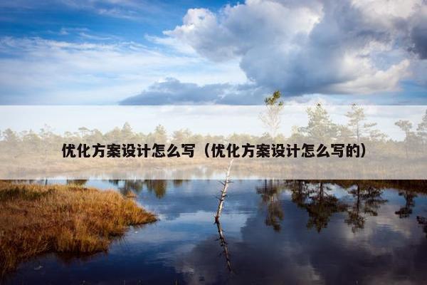 优化方案设计怎么写（优化方案设计怎么写的）
