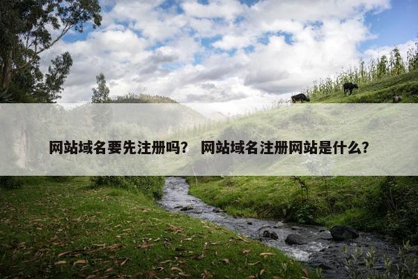 网站域名要先注册吗？ 网站域名注册网站是什么？