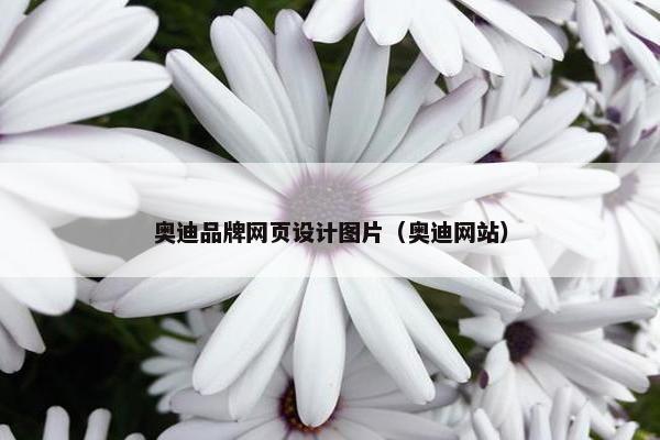 奥迪品牌网页设计图片（奥迪网站）