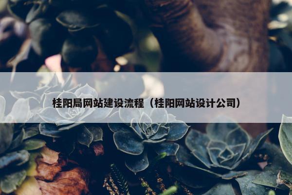 桂阳局网站建设流程（桂阳网站设计公司）