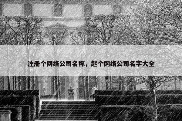 注册个网络公司名称，起个网络公司名字大全