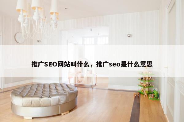 推广SEO网站叫什么，推广seo是什么意思