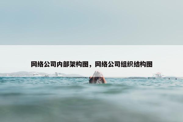 网络公司内部架构图，网络公司组织结构图