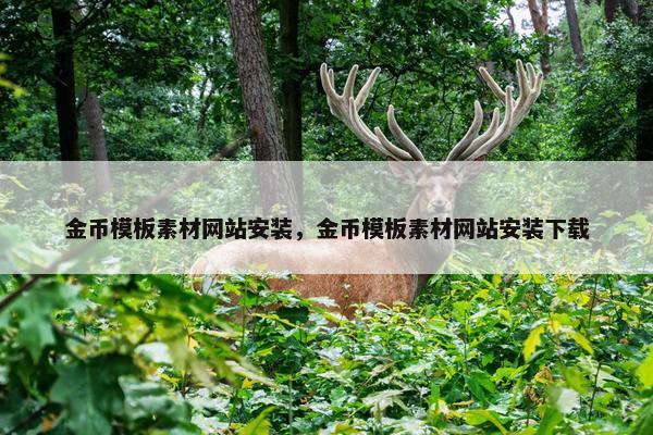 金币模板素材网站安装，金币模板素材网站安装下载