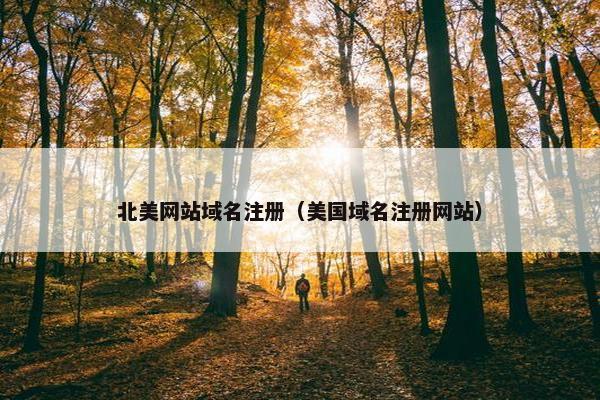 北美网站域名注册（美国域名注册网站）