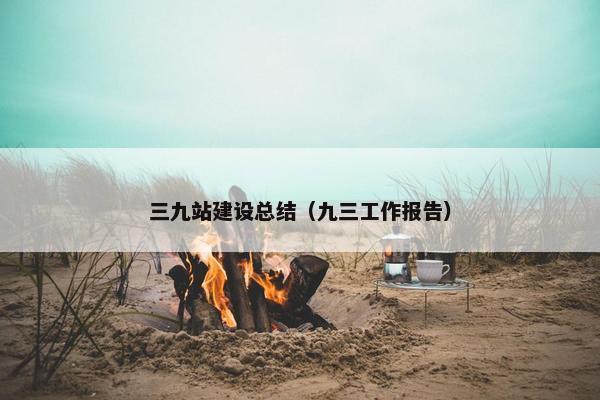 三九站建设总结（九三工作报告）