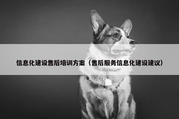 信息化建设售后培训方案（售后服务信息化建设建议）