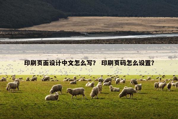 印刷页面设计中文怎么写？ 印刷页码怎么设置？