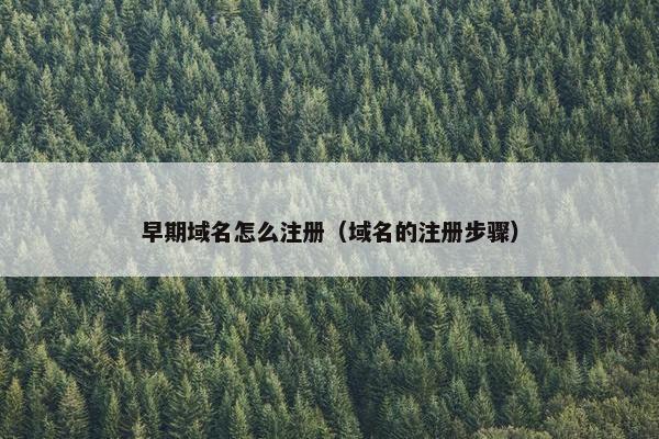 早期域名怎么注册（域名的注册步骤）