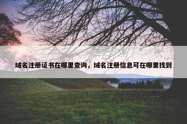域名注册证书在哪里查询，域名注册信息可在哪里找到