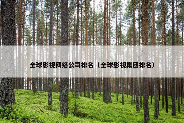 全球影视网络公司排名（全球影视集团排名）