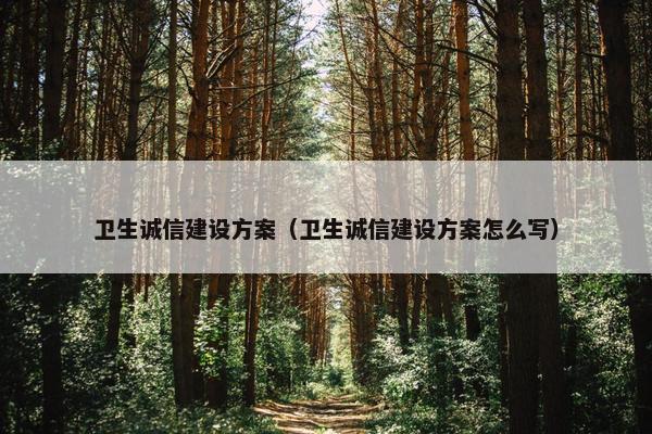 卫生诚信建设方案（卫生诚信建设方案怎么写）