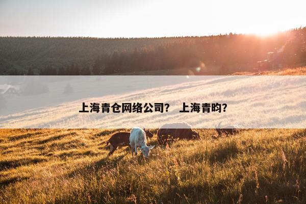 上海青仓网络公司？ 上海青昀？