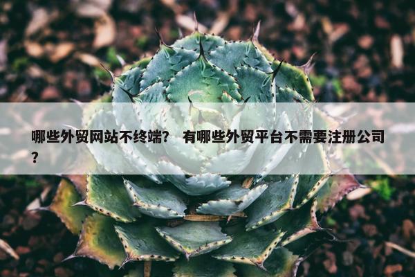 哪些外贸网站不终端？ 有哪些外贸平台不需要注册公司？