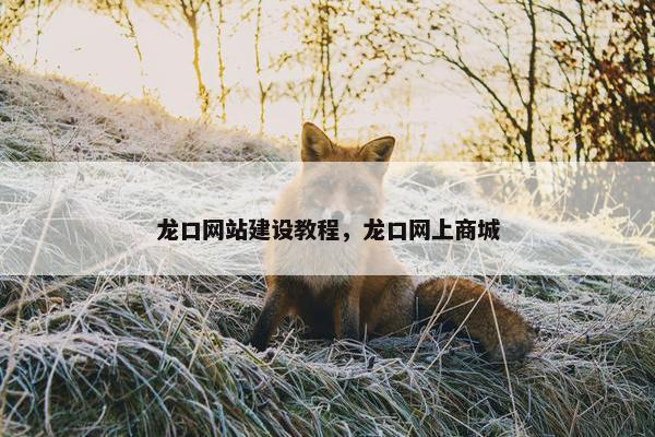 龙口网站建设教程，龙口网上商城