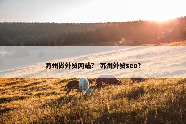 苏州做外贸网站？ 苏州外贸seo？