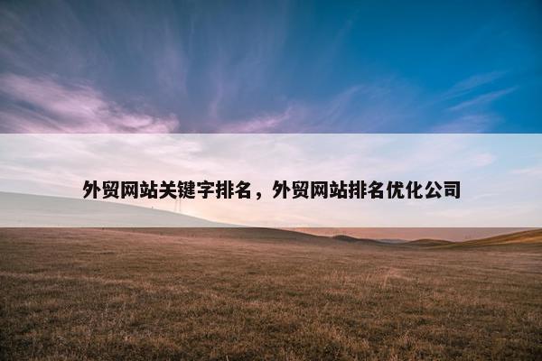 外贸网站关键字排名，外贸网站排名优化公司