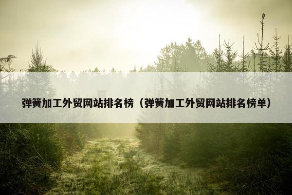 弹簧加工外贸网站排名榜（弹簧加工外贸网站排名榜单）