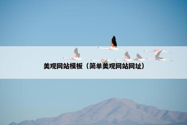 美观网站模板（简单美观网站网址）