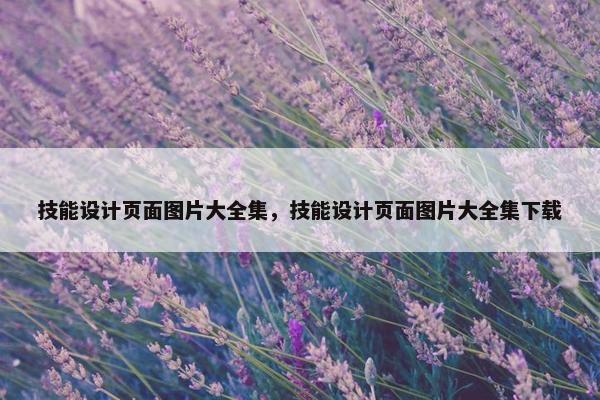 技能设计页面图片大全集，技能设计页面图片大全集下载